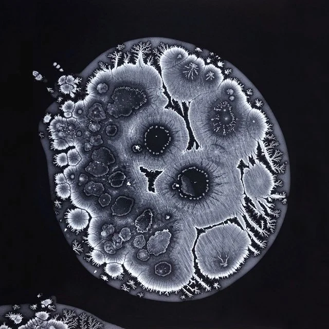 Darkroom Dynamics / Weekend Workshop