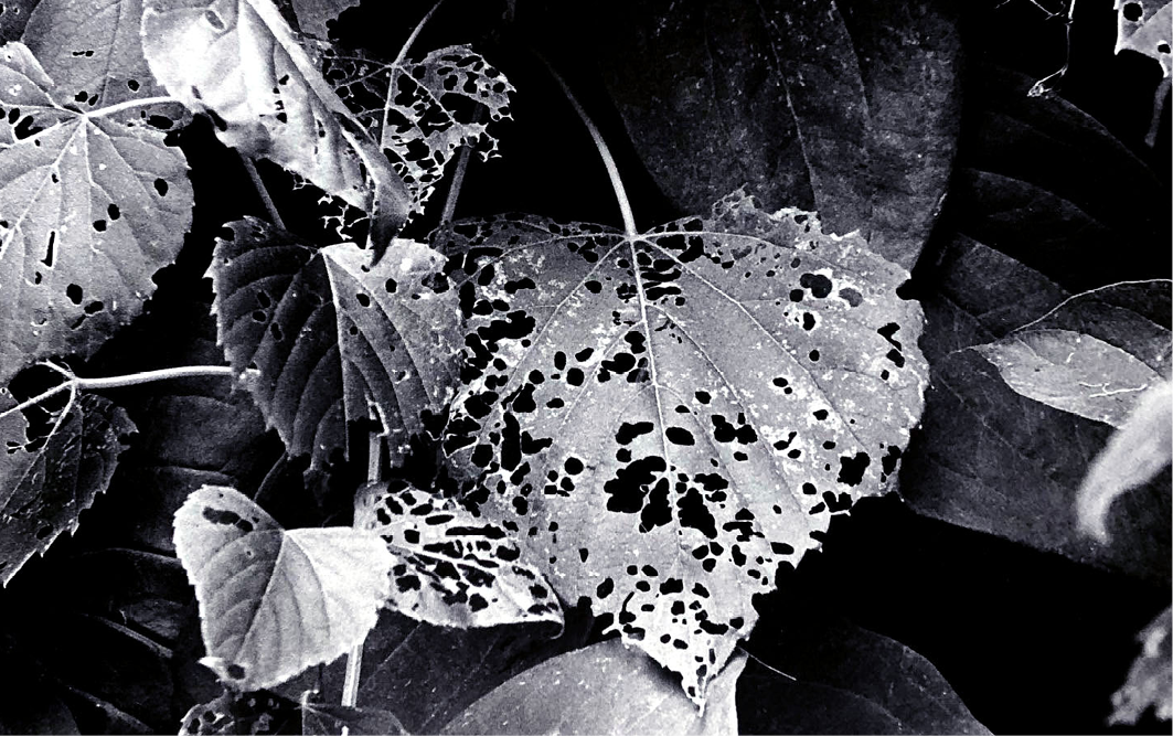 cover-image_film-forever_jan-2023.png
