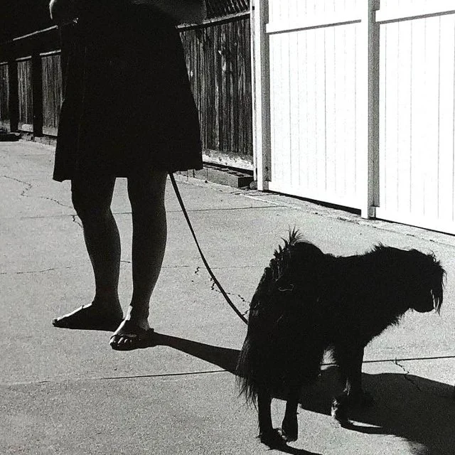 course-image_film-stories_jan-2023-7.jpg