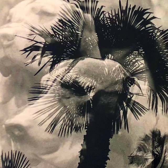 course-image_advanced-darkroom_jan-2023-1.jpg