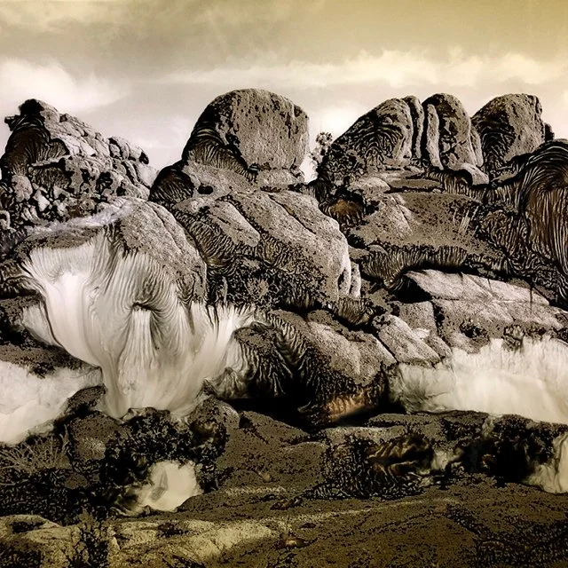 Creating a Portfolio / March