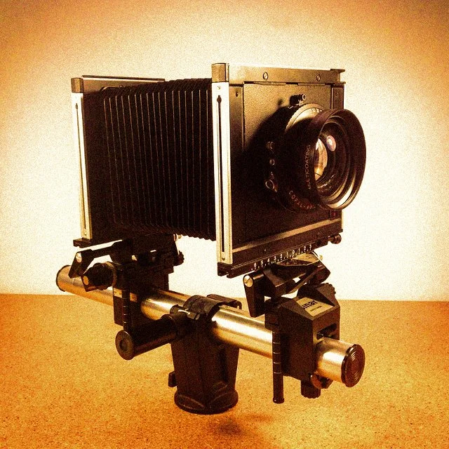 course-image_still-life-on-film-june-2023-7.jpg
