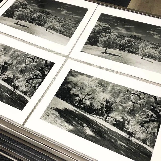 course-image_infrared-on-film-june-2023-5.jpg