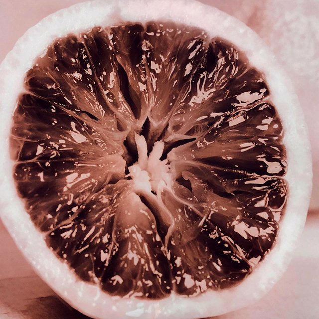 course-image_darkroom-dynamics_august-2023-17.jpg