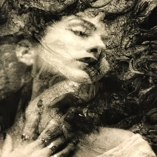 Darkroom Dynamics / August