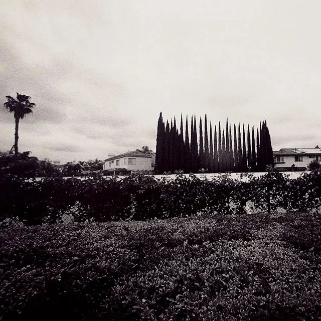 course-image_into-the-dark_sep-2-3-2023-6.jpg