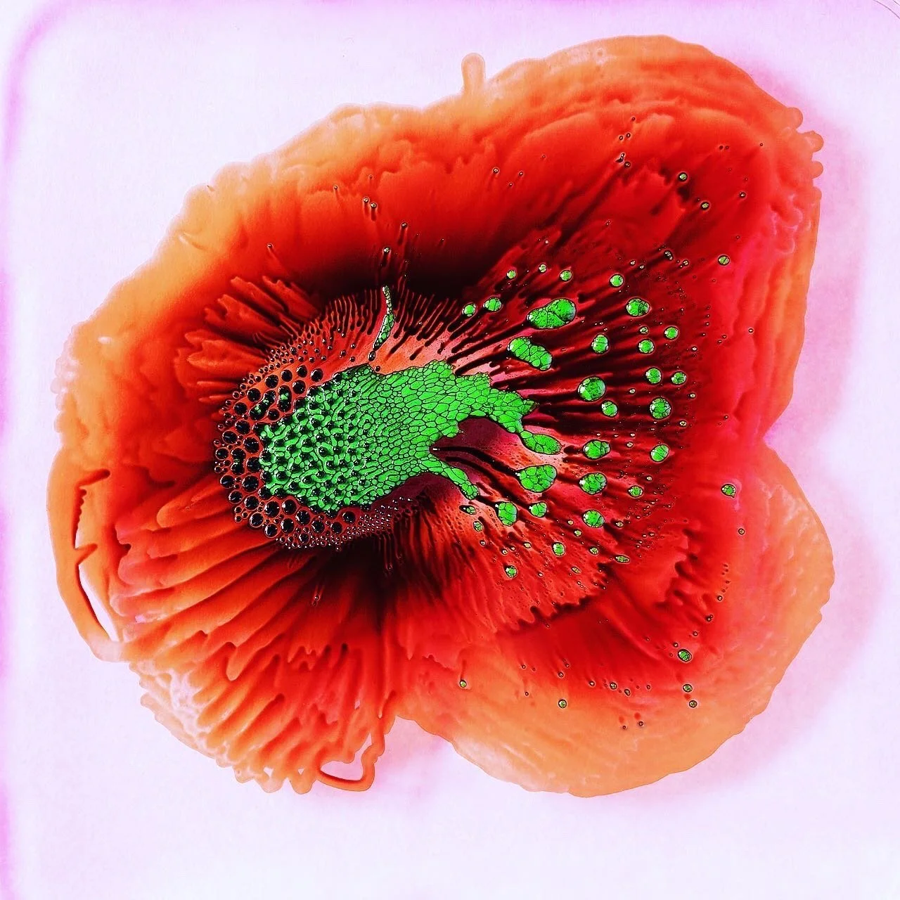 CA18AEDA-E147-489F-B8A4-F16EC87D2C4C.jpg