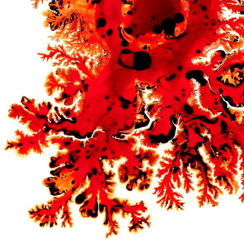 course-image_magnetic-liquid-nov-2023-1.jpg