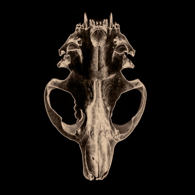 course-image_darkroom-alchemy_january-2024-4.jpg