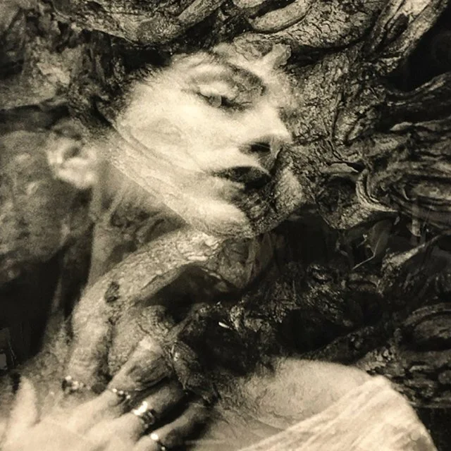 course-image_darkroom-alchemy_january-2024-7.jpg