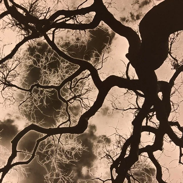 course-image_darkroom-alchemy_january-2024-12.jpg