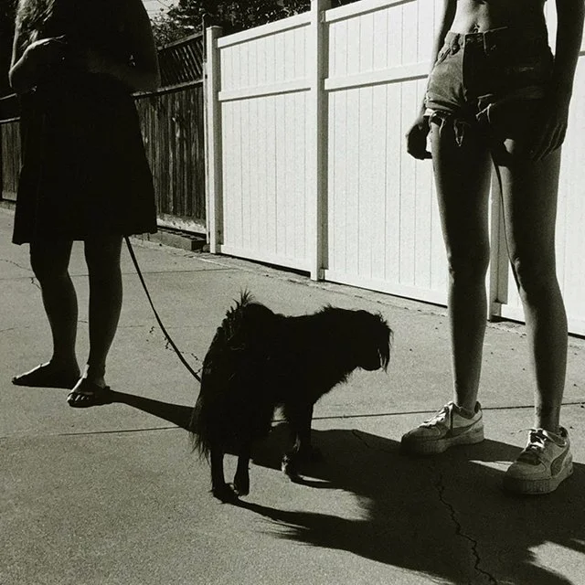 course-image_bffs-on-film_january-2024-13.jpg