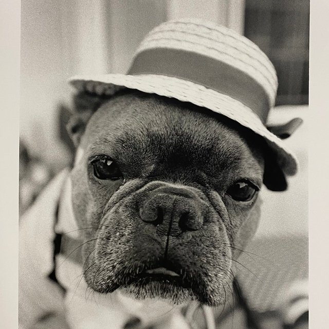 course-image_bffs-on-film_january-2024-23.jpg