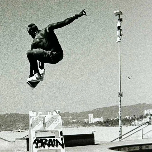 Building a Portfolio / April 