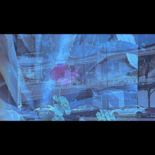 course-image_color-film-dynamics-july-2024_3.jpg
