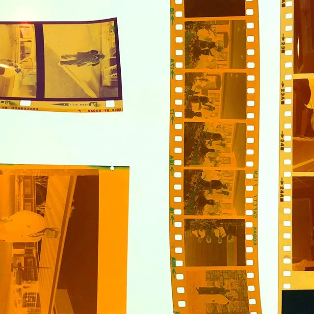 course-image_color-film-dynamics-july-2024_11.jpg