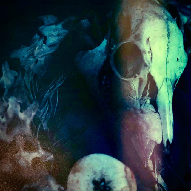 course-image_color-film-dynamics-july-2024_12.jpg