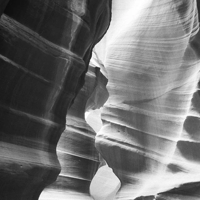 course-image_film-forever-july-2024_17.jpg