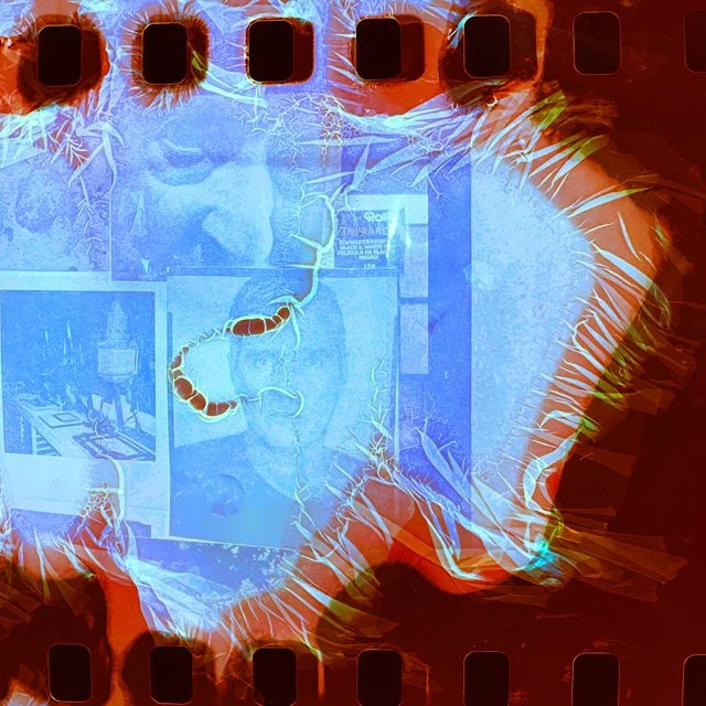 Color Film Dynamics / July