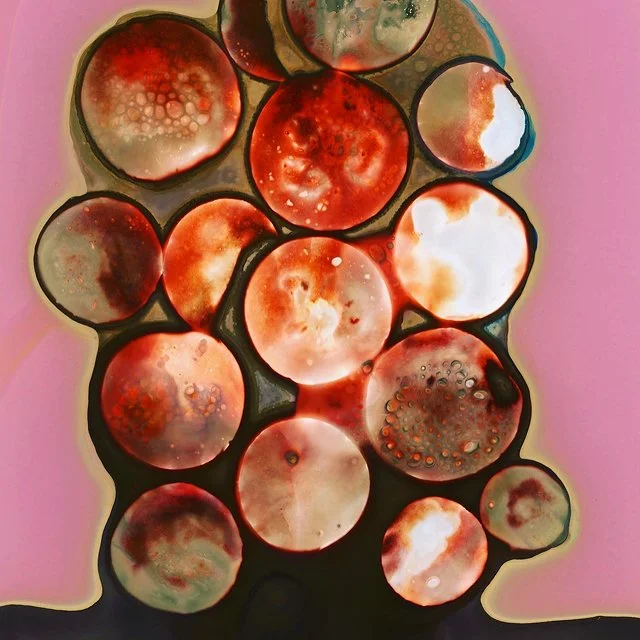 course-image_chemigrams-aug-2024_4.jpg