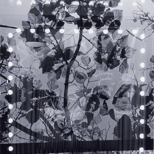 course-image_advanced-darkroom-aug-2024_13.jpg