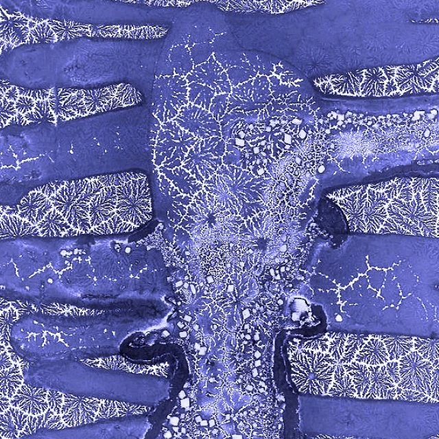 Crystalotypes / January / Online Class