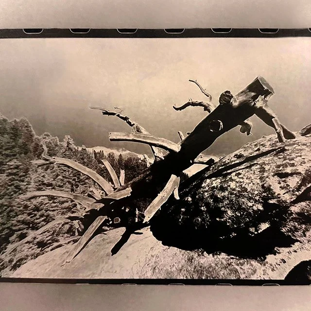 Darkroom Alchemy / January 2025