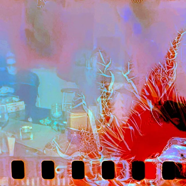 Color Film Dynamics / January