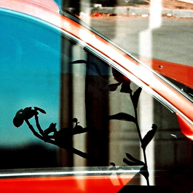 Color Film Forever / Weekend Workshop / May 17 + 18, 2025