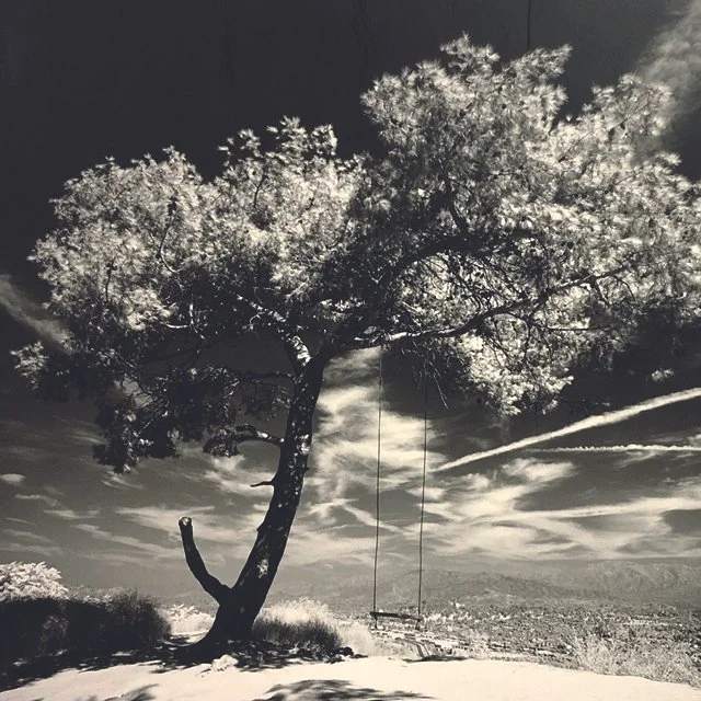 Black &amp; White Infrared / July