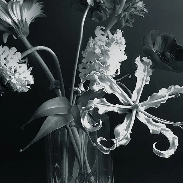 Still Life on Film / August