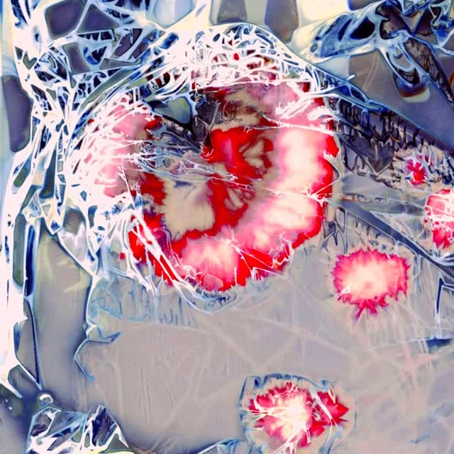 Advanced Liquid Lumens / February / Online Class