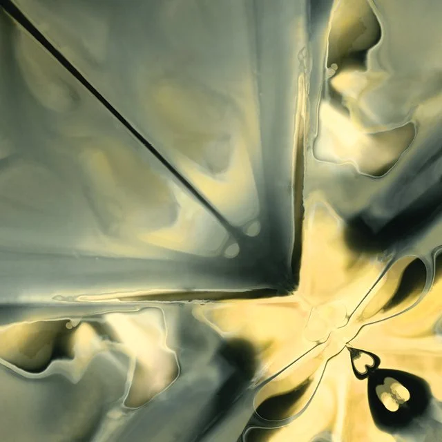 course-image_chemigrams_dec-2026_7.jpg