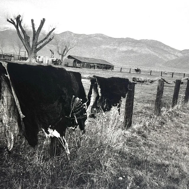 course-image_fistful-of-film_oct-2026_5.jpg