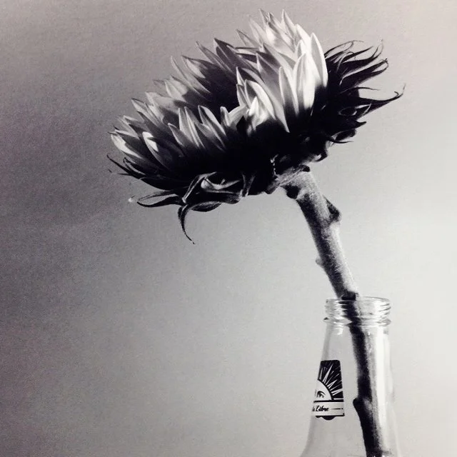 course-image_still-life-on-film_aug-2025_6.jpg