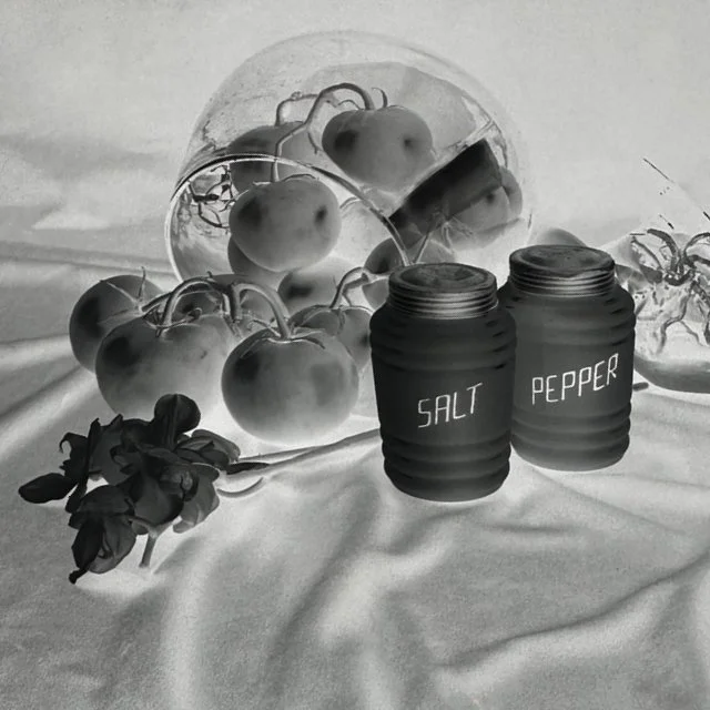 course-image_still-life-of-film_10-2026_13.jpg