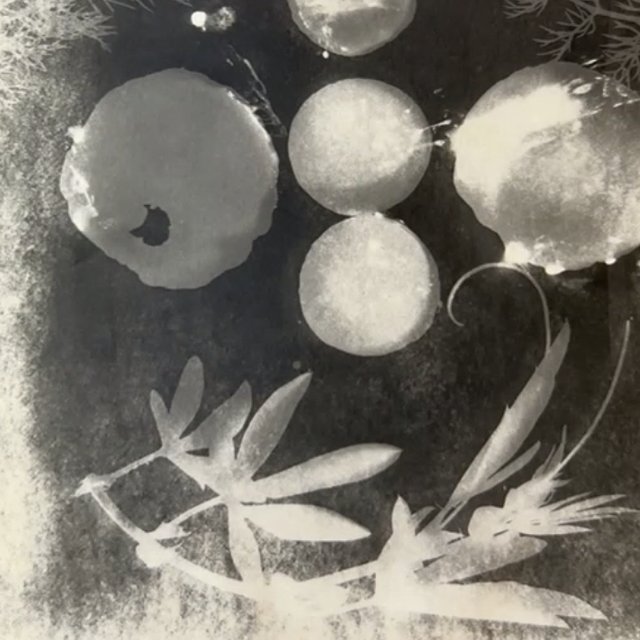 course-image_adv-photograms_jan-2026_9.jpg