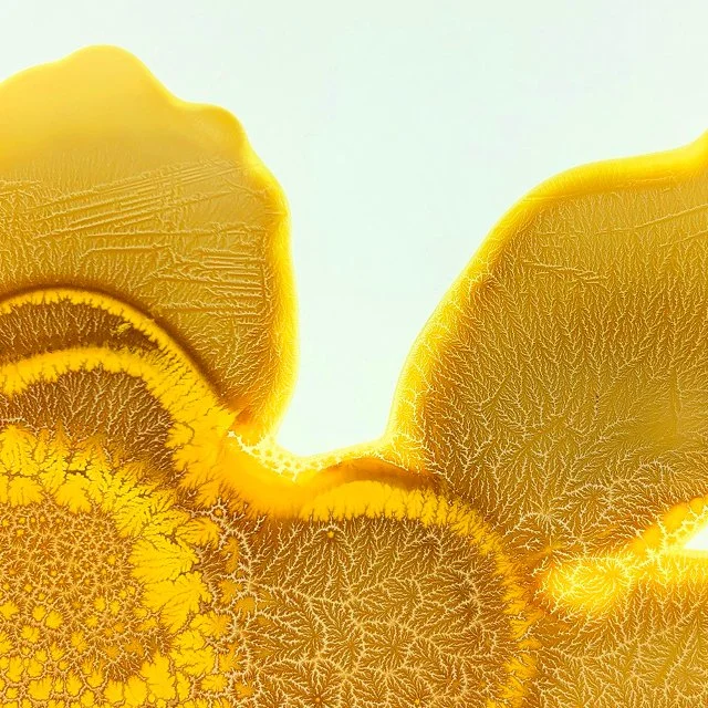 course-image_crystalotypes_jan-2025_3.jpg
