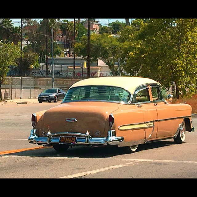 course-image_color-film-forever_may-17-18-2025-17.jpg