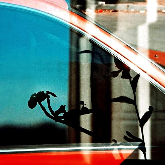 course-image_color-film-forever_jan-24-25-2026_5.jpg