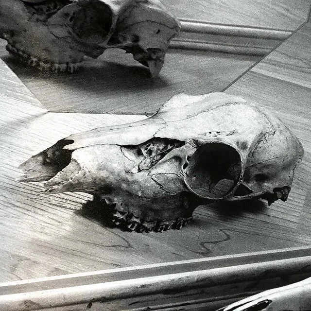 course-image_still-life-of-film_10-2026_7.jpg