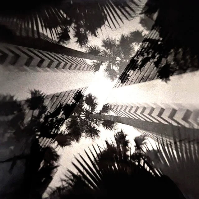 course-image_exp-darkroom_aug-2026_6.jpg