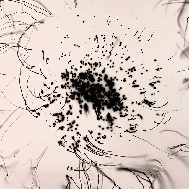 course-image_adv-photograms_jan-2026_12.jpg