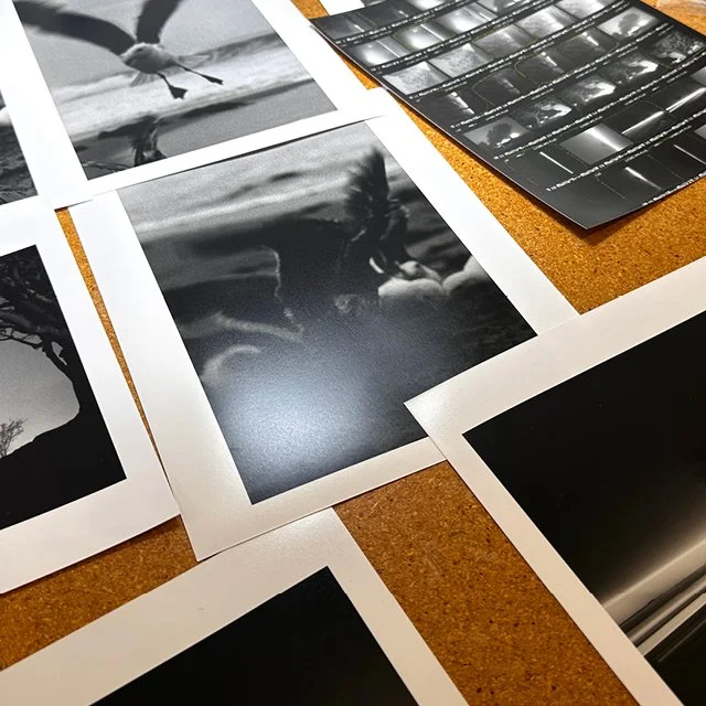 course-image_fistful-of-film_oct-2026_15.jpg