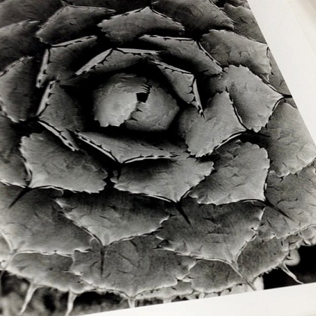 course-image_still-life-of-film_10-2026_2.jpg