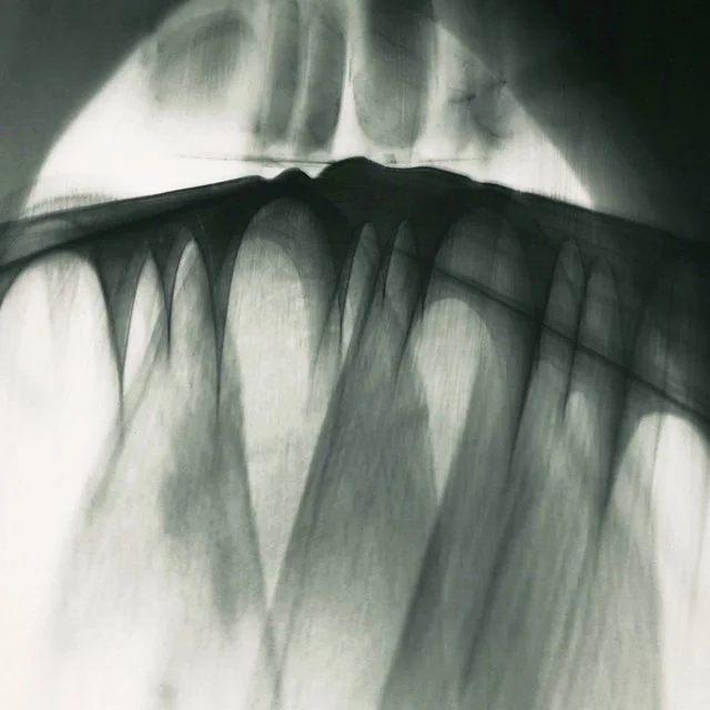 course-image_adv-photograms_jan-2026_2.jpg