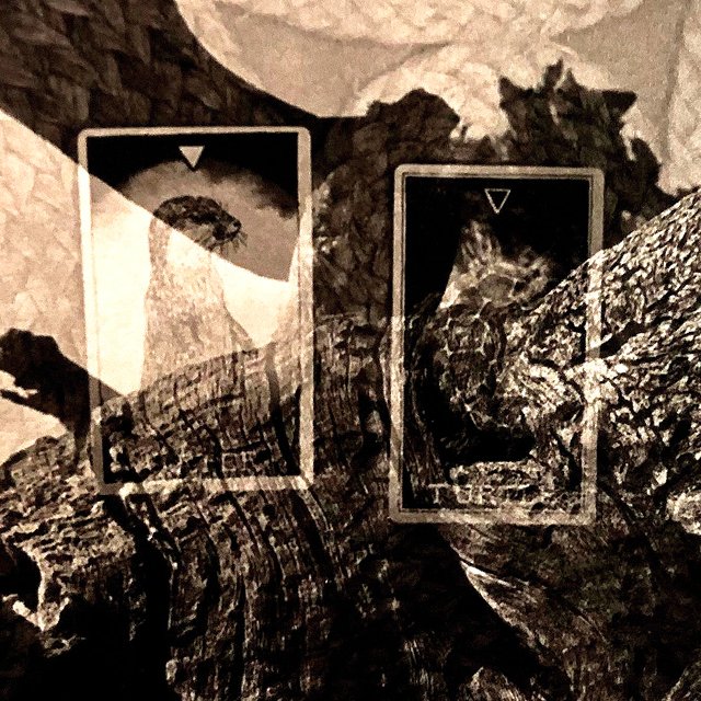 course-image_exp-darkroom_aug-2026_15.jpg