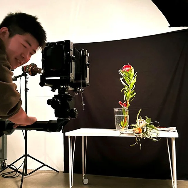 course-image_still-life-on-film_aug-2025_7.jpg