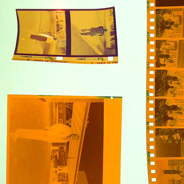 course-image_color-film-forever_jan-24-25-2026_17.jpg