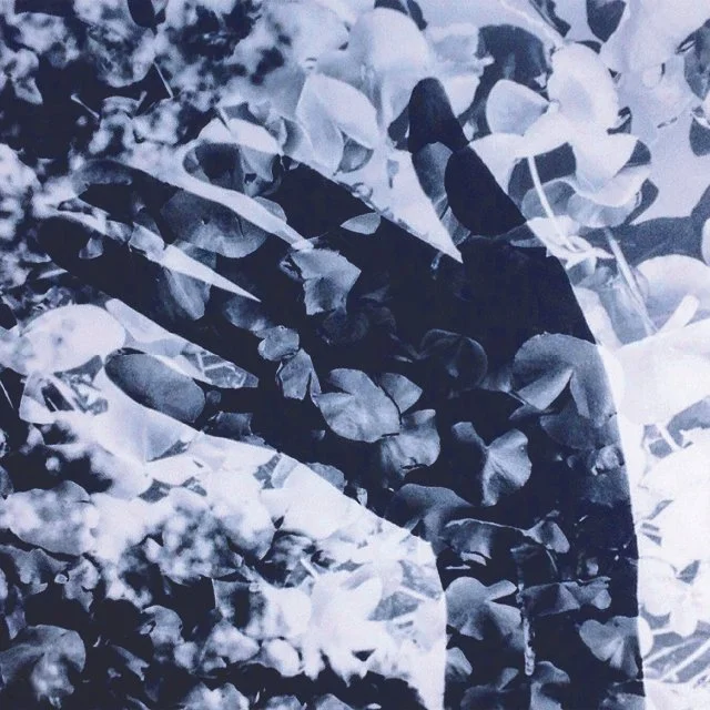 course-image_advanced-darkroom-march-2025-12.jpg
